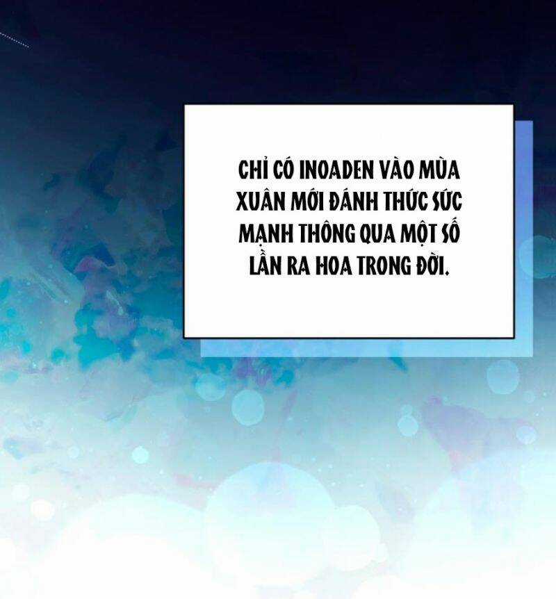 Quý Cô Khó Gần Chapter 85.5 trang 8