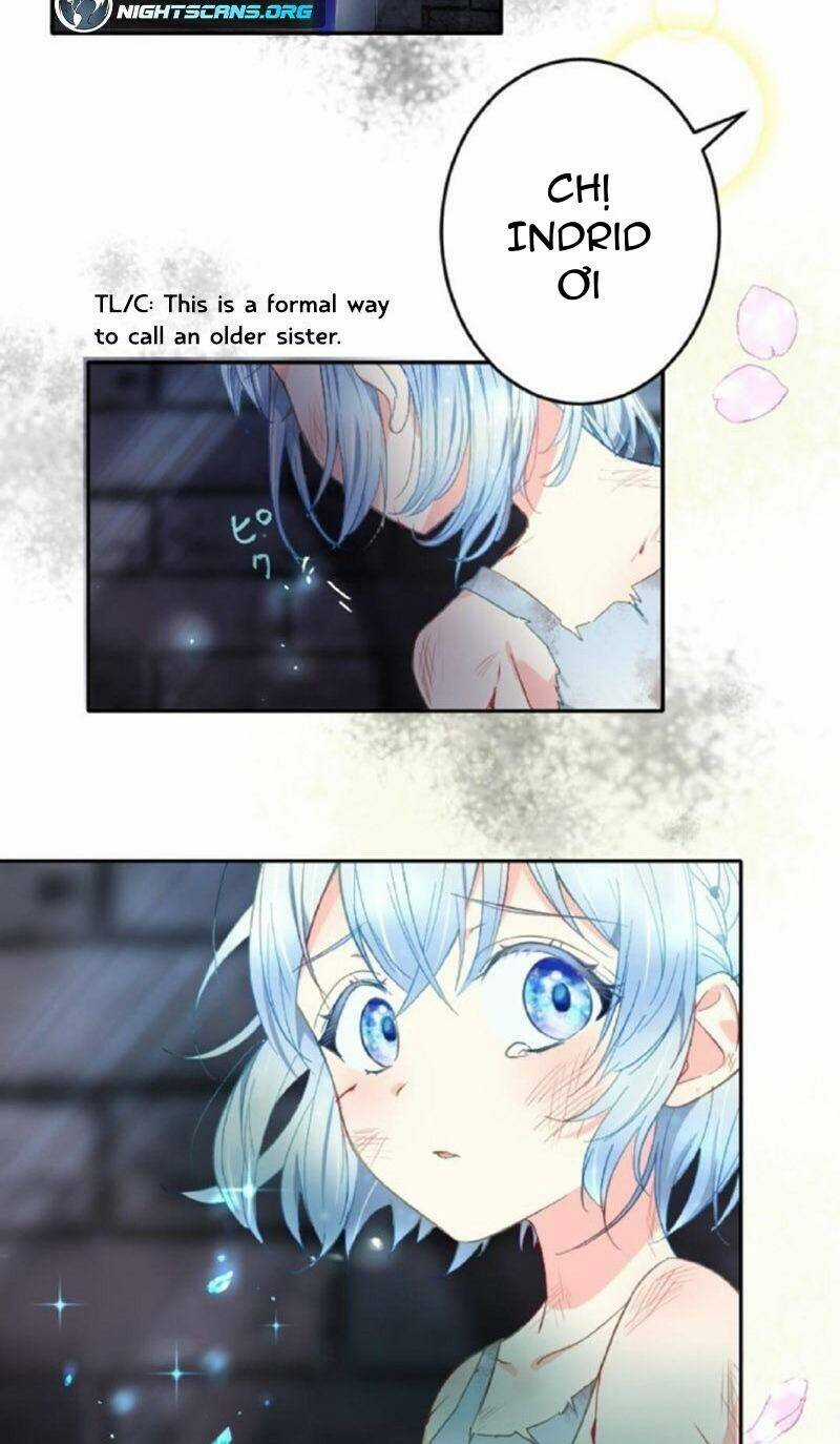 Quý Cô Không Rơi Nước Mắt Chapter 1 trang 11