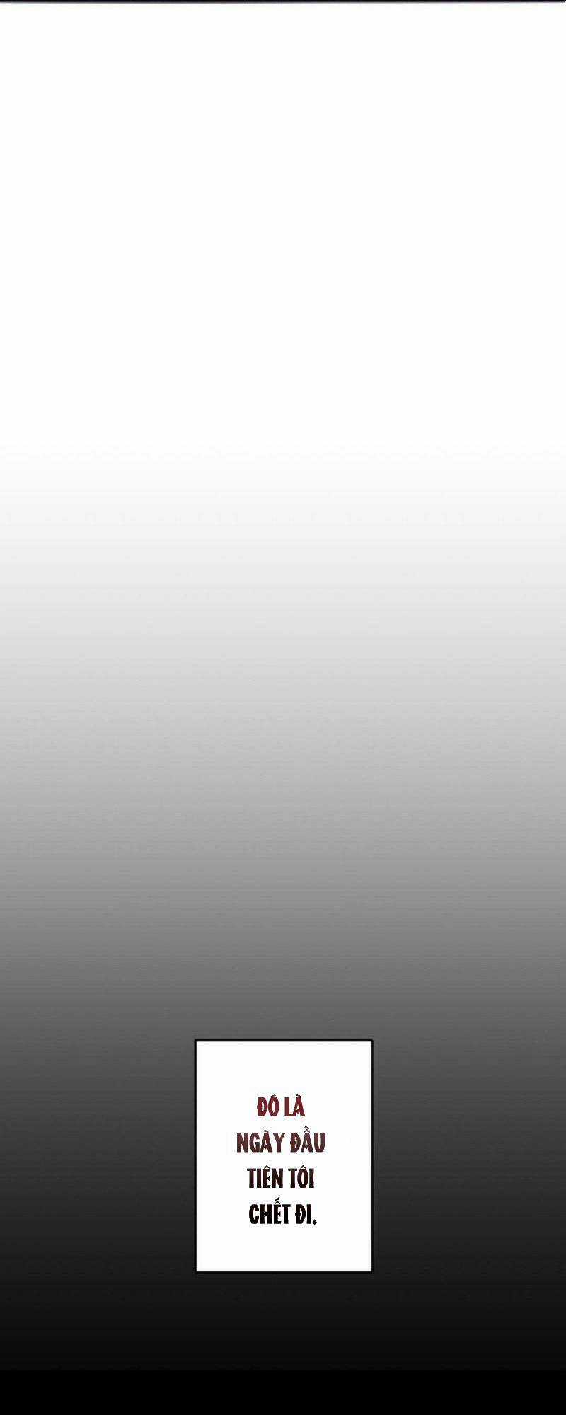 Quý Cô Không Rơi Nước Mắt Chapter 1 trang 47