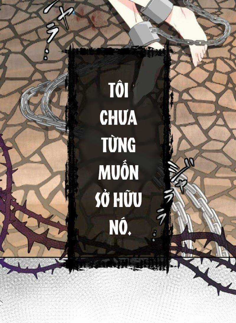 Quý Cô Không Rơi Nước Mắt Chapter 1 trang 5