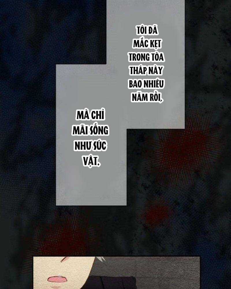 Quý Cô Không Rơi Nước Mắt Chapter 1 trang 66