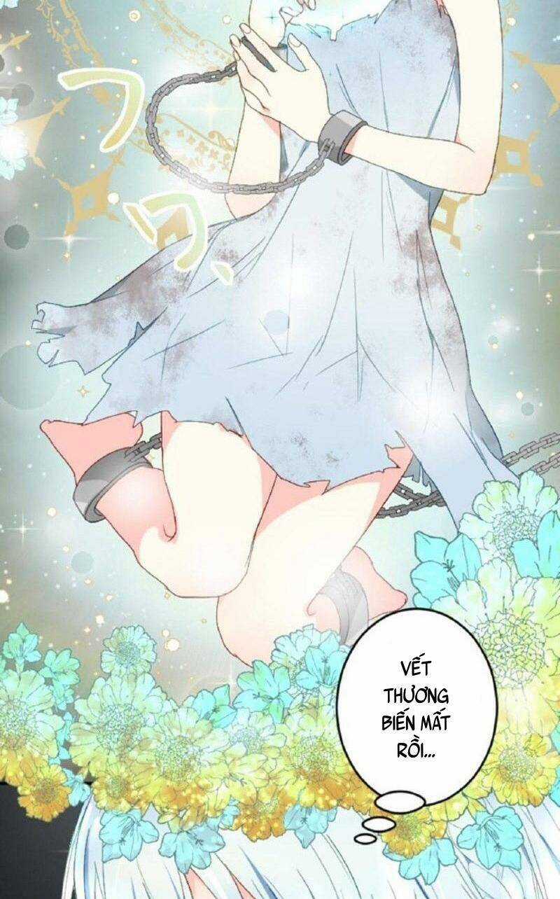 Quý Cô Không Rơi Nước Mắt Chapter 1 trang 71