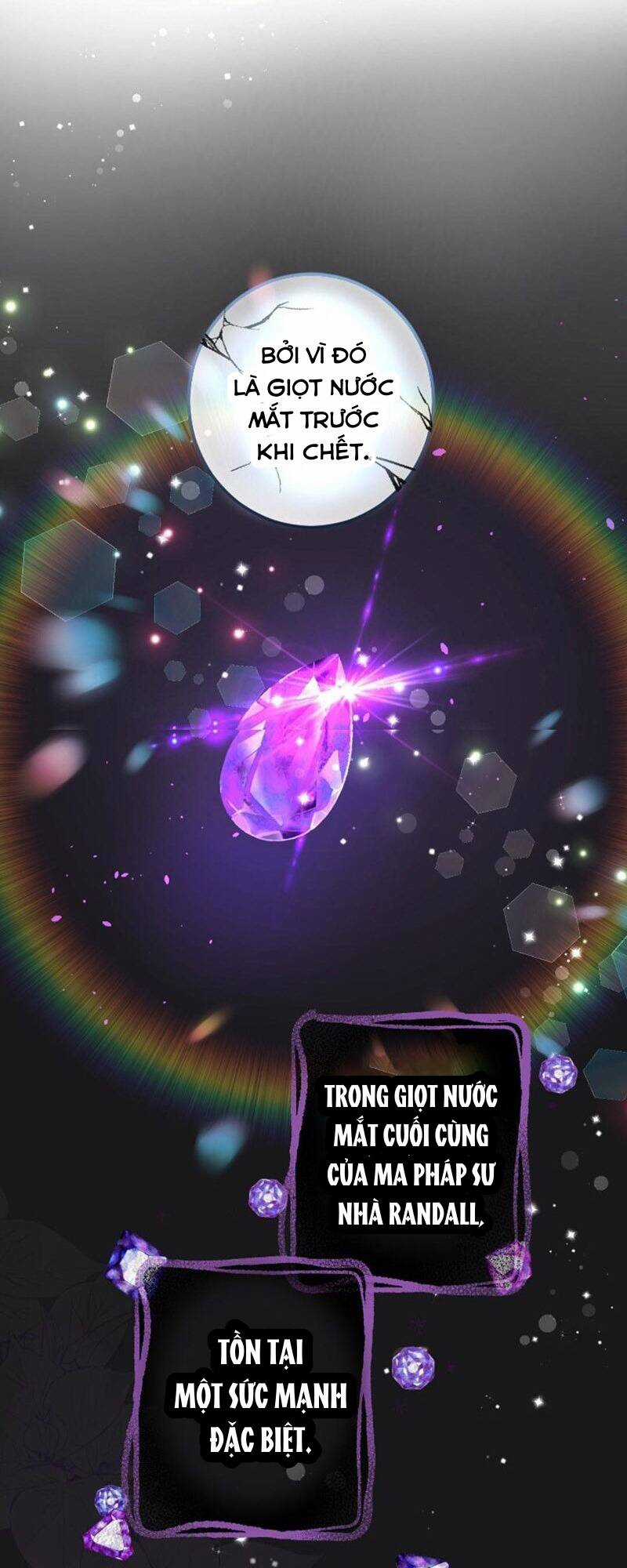 Quý Cô Không Rơi Nước Mắt Chapter 10 trang 8