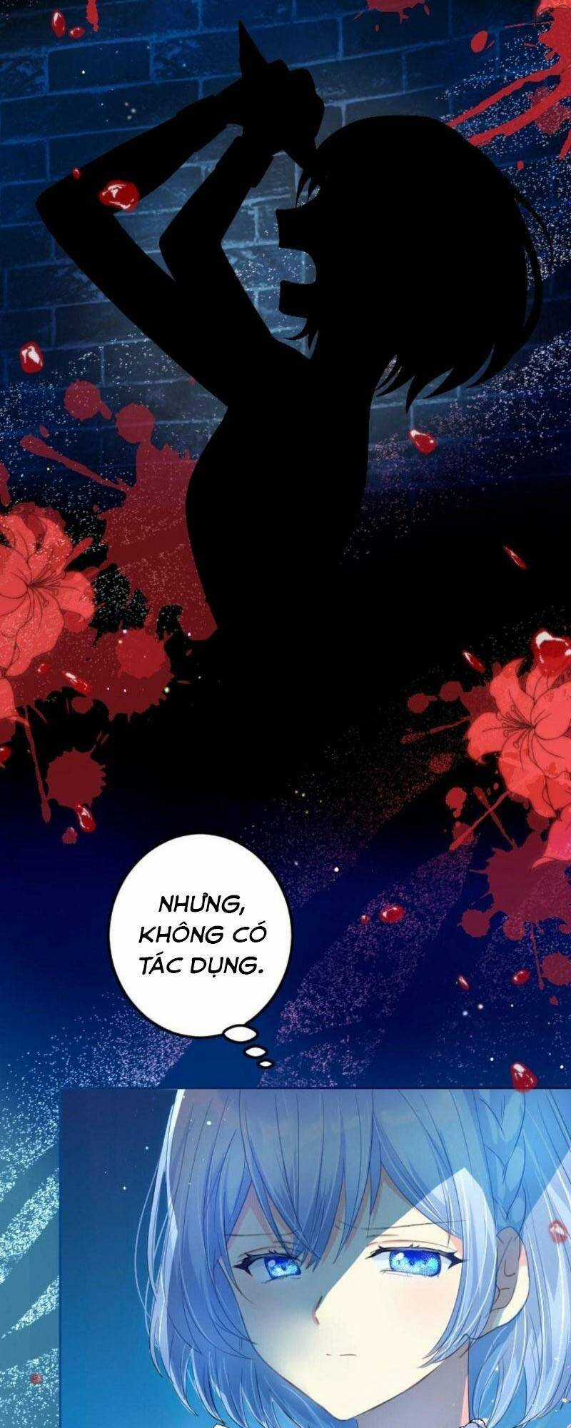 Quý Cô Không Rơi Nước Mắt Chapter 11 trang 4