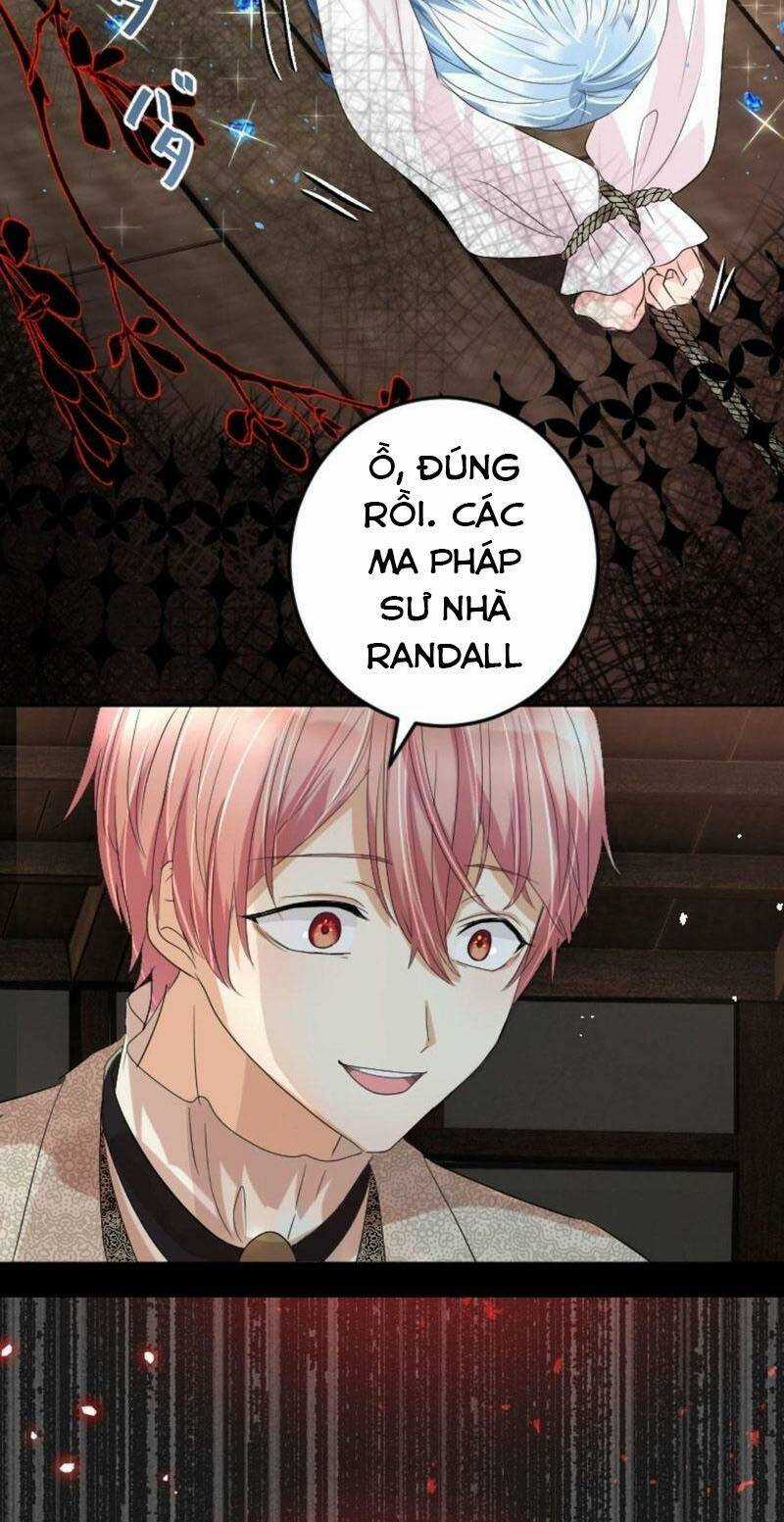 Quý Cô Không Rơi Nước Mắt Chapter 12 trang 42