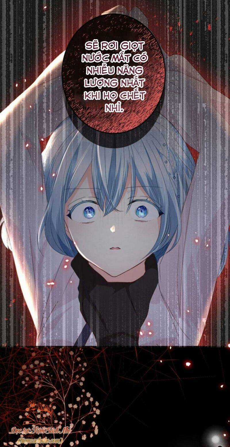 Quý Cô Không Rơi Nước Mắt Chapter 12 trang 43