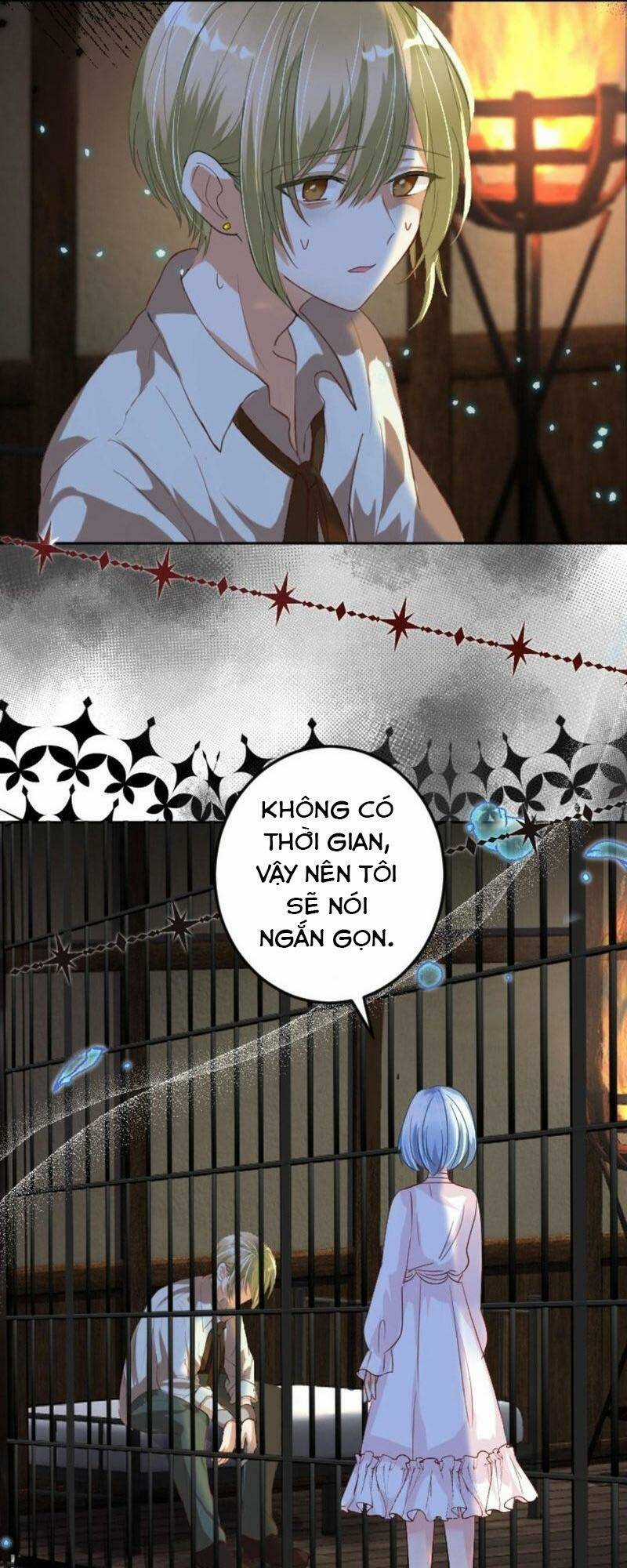 Quý Cô Không Rơi Nước Mắt Chapter 12 trang 52