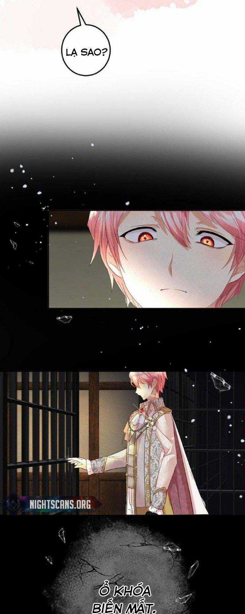 Quý Cô Không Rơi Nước Mắt Chapter 15 trang 4