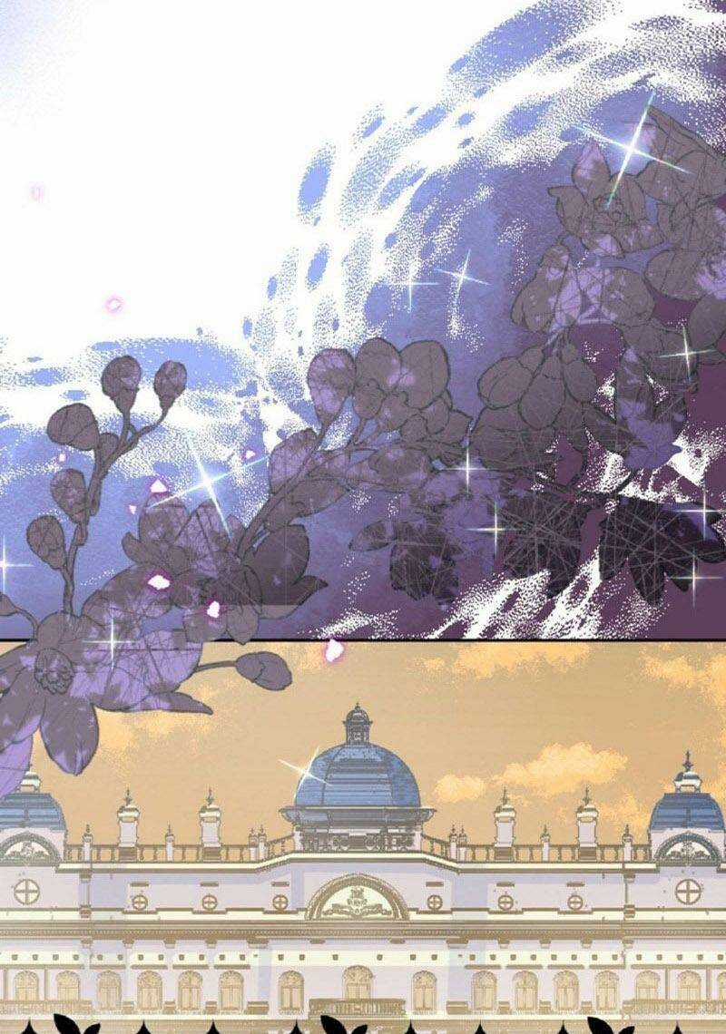 Quý Cô Không Rơi Nước Mắt Chapter 19 trang 37