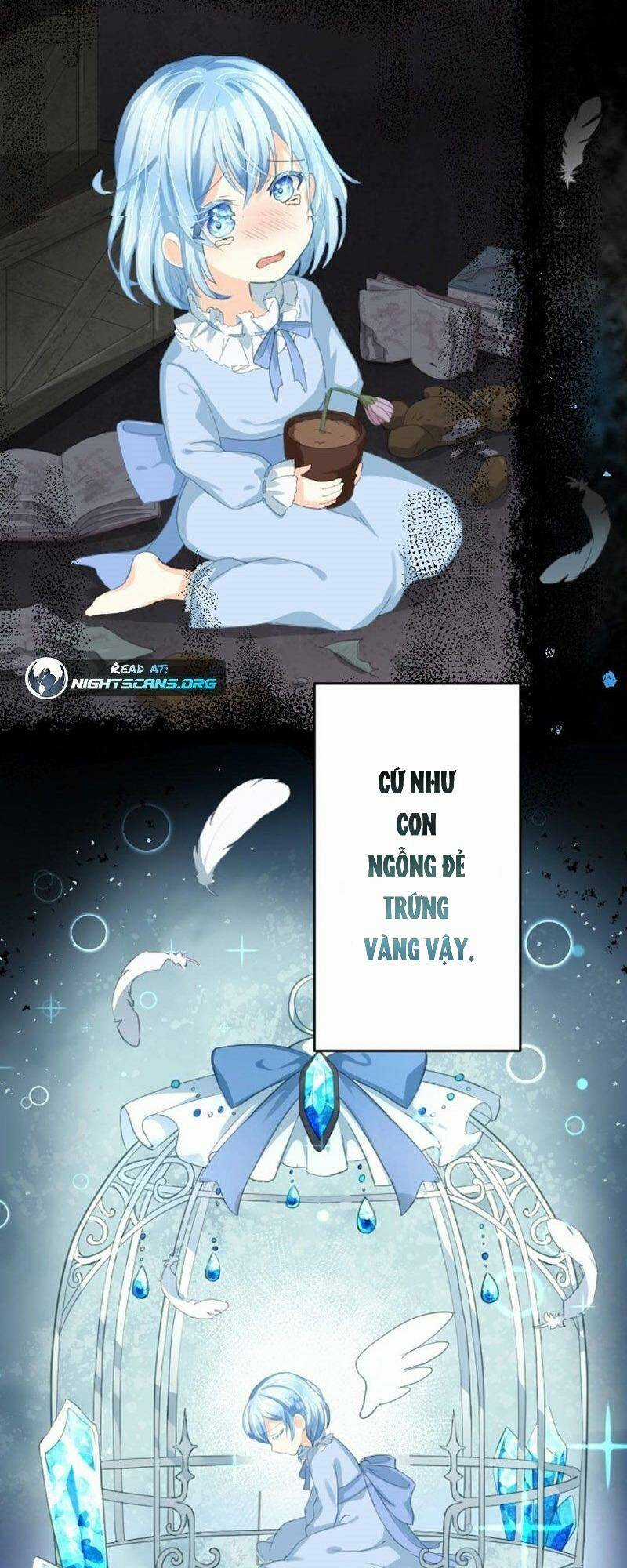 Quý Cô Không Rơi Nước Mắt Chapter 2 trang 26