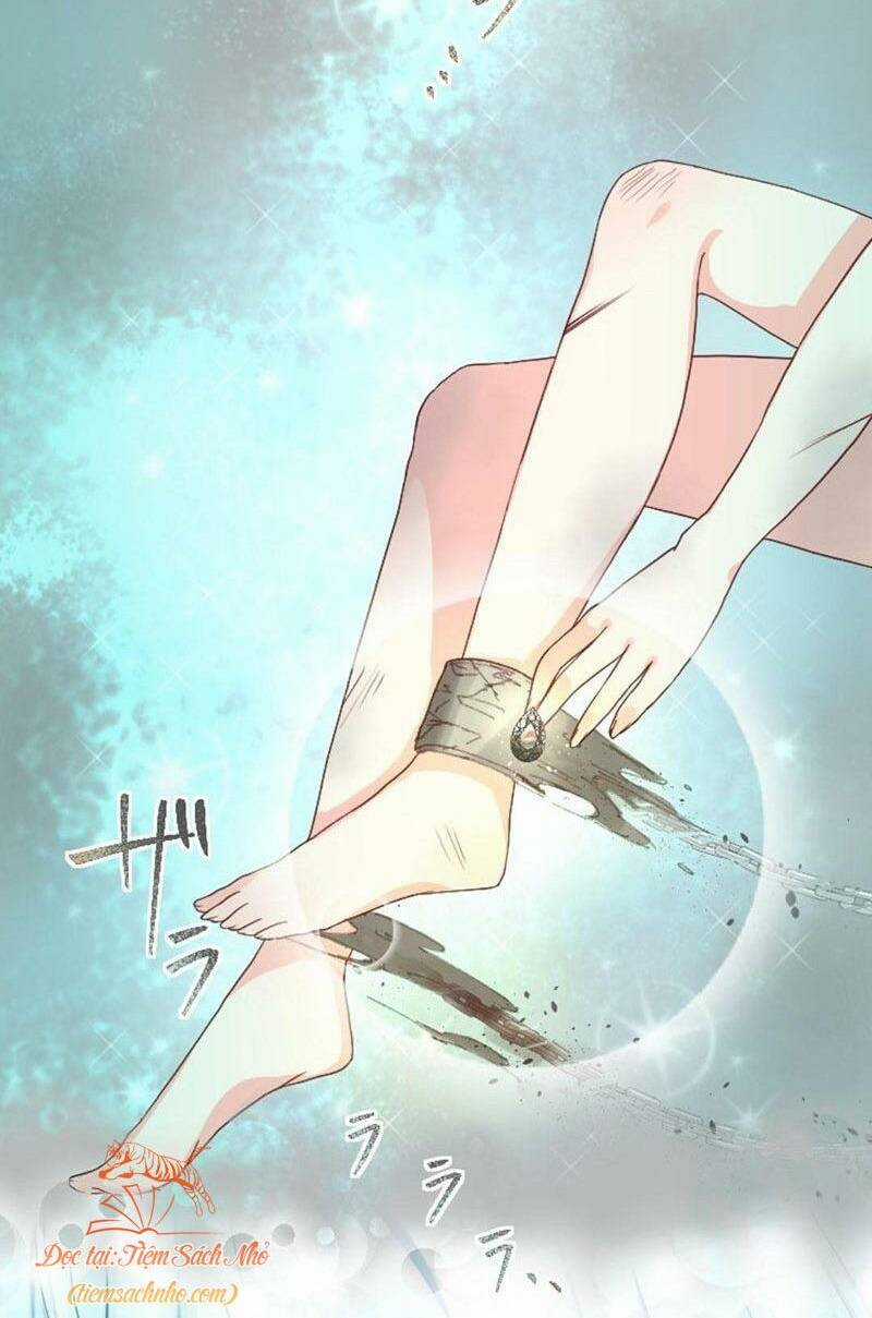 Quý Cô Không Rơi Nước Mắt Chapter 2 trang 4