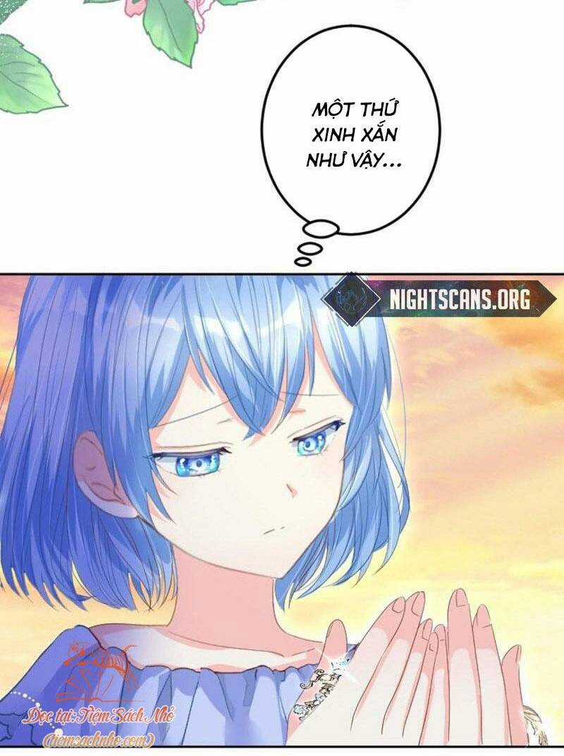 Quý Cô Không Rơi Nước Mắt Chapter 21 trang 24