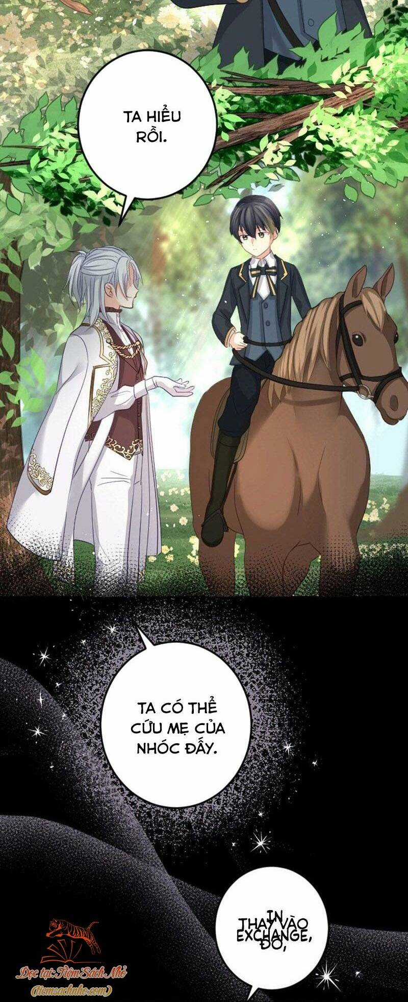 Quý Cô Không Rơi Nước Mắt Chapter 22 trang 15