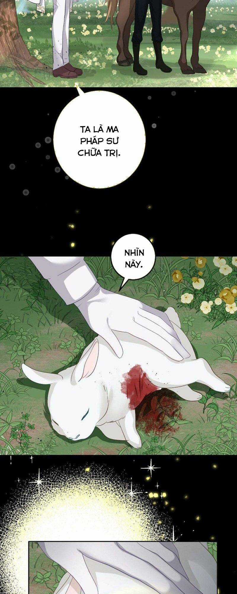 Quý Cô Không Rơi Nước Mắt Chapter 22 trang 18