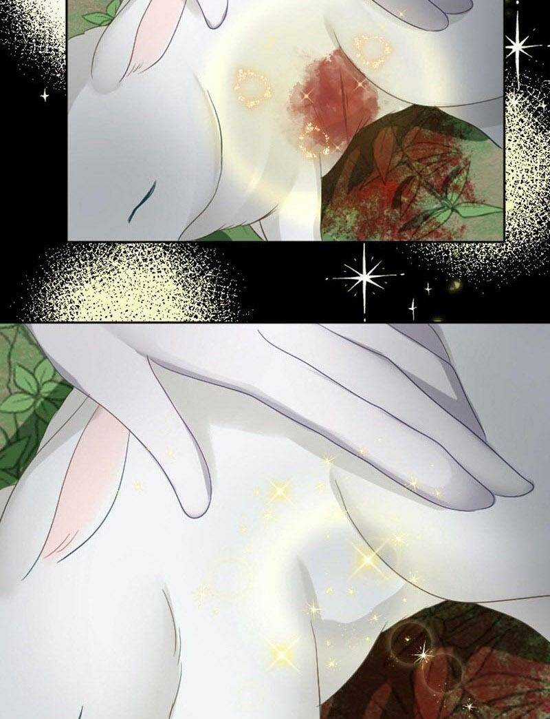 Quý Cô Không Rơi Nước Mắt Chapter 22 trang 19