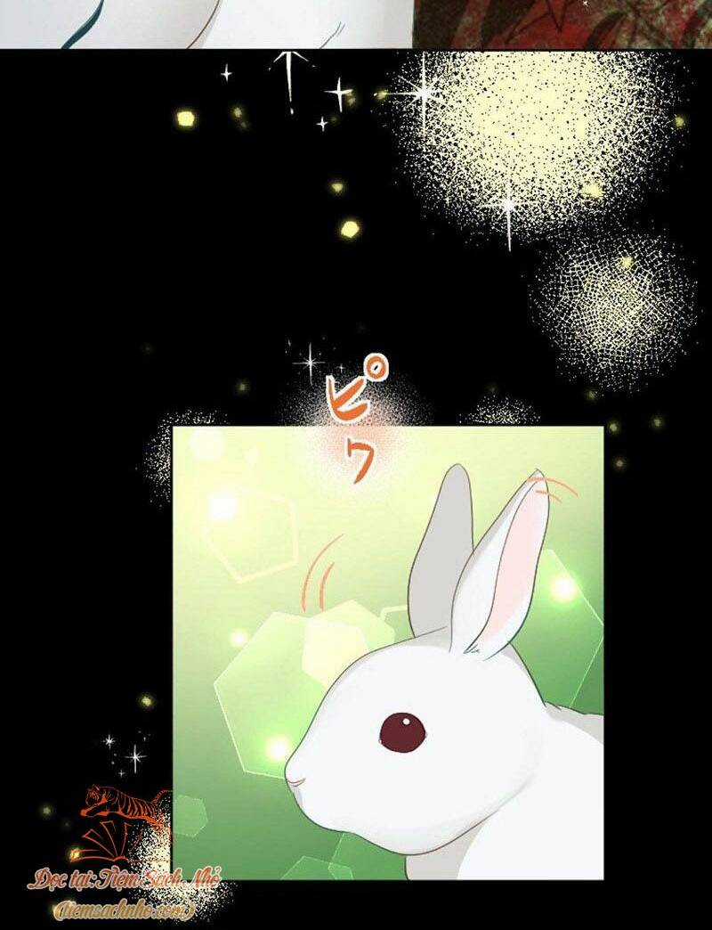 Quý Cô Không Rơi Nước Mắt Chapter 22 trang 20