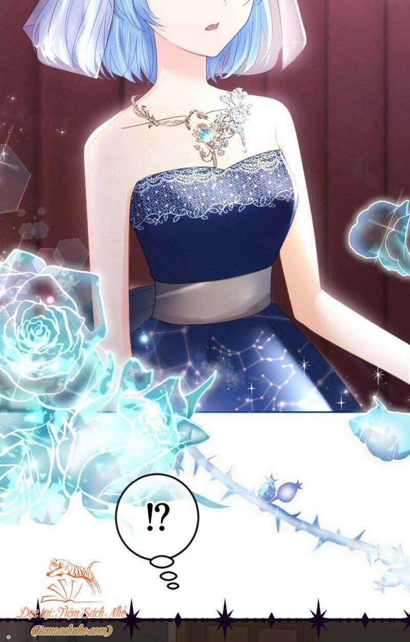 Quý Cô Không Rơi Nước Mắt Chapter 33 trang 7