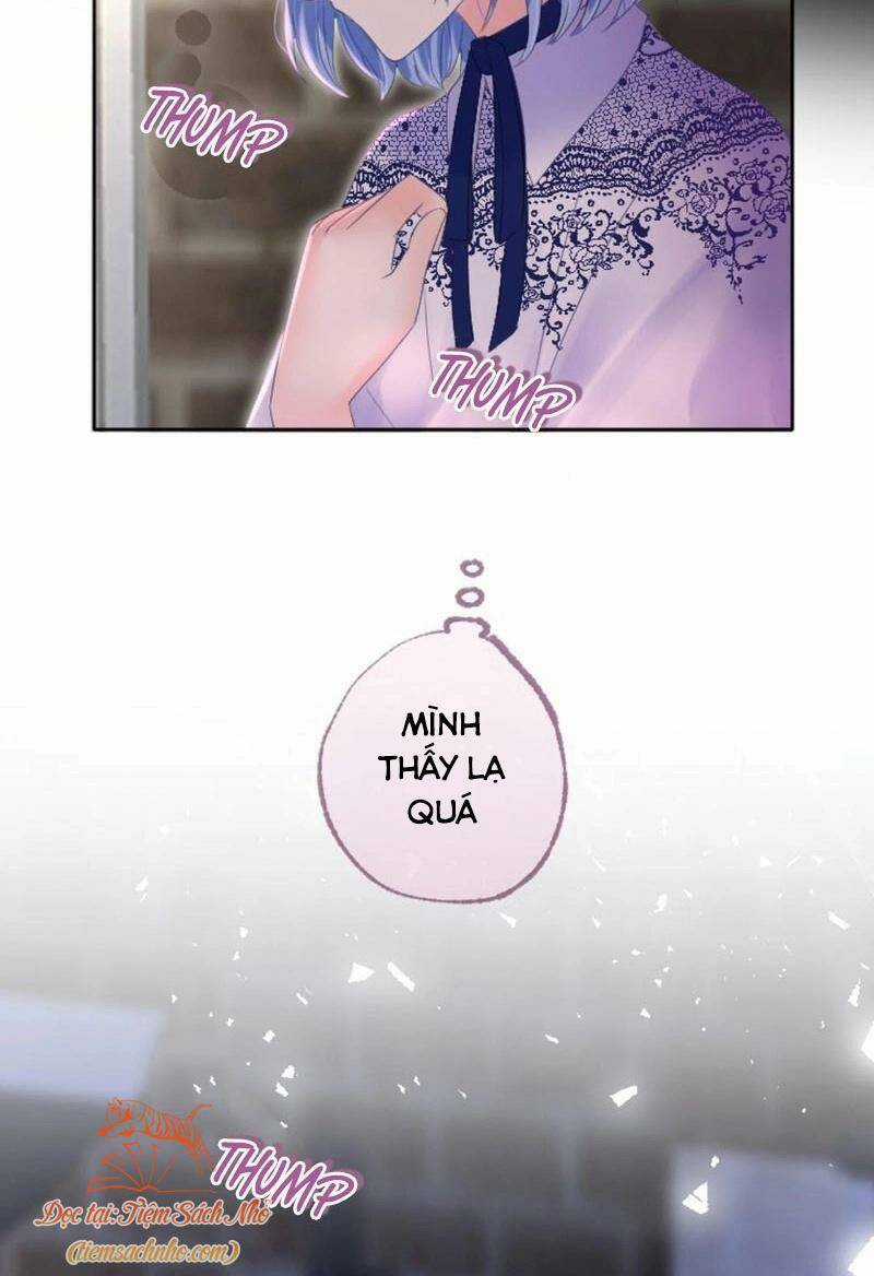 Quý Cô Không Rơi Nước Mắt Chapter 36 trang 10