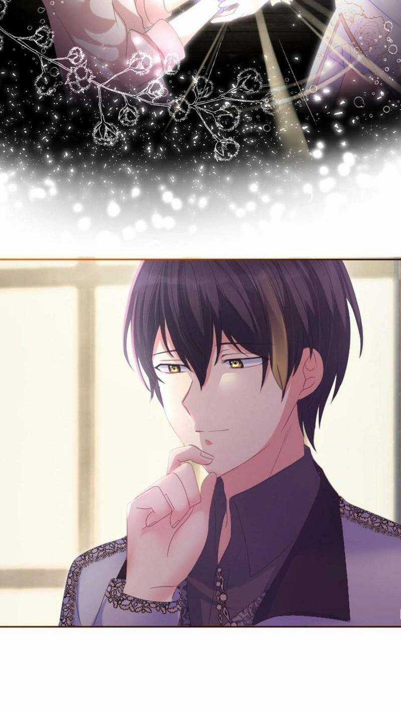 Quý Cô Không Rơi Nước Mắt Chapter 36 trang 5