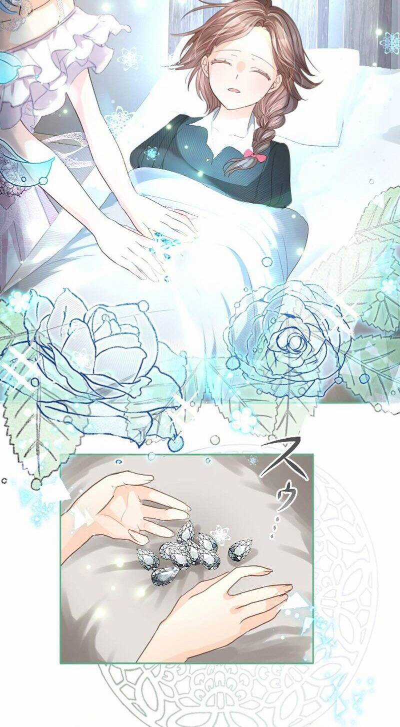 Quý Cô Không Rơi Nước Mắt Chapter 4 trang 62