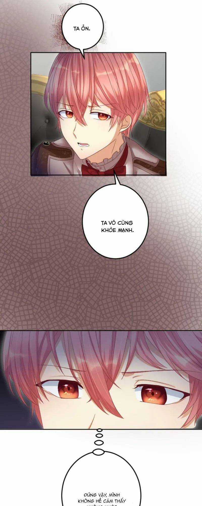 Quý Cô Không Rơi Nước Mắt Chapter 41 trang 4