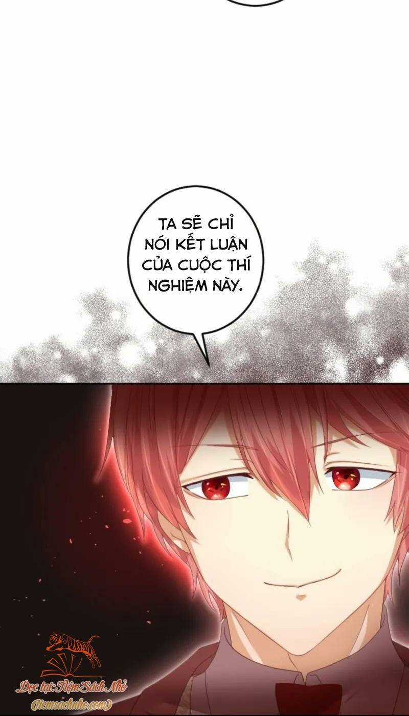 Quý Cô Không Rơi Nước Mắt Chapter 43 trang 15