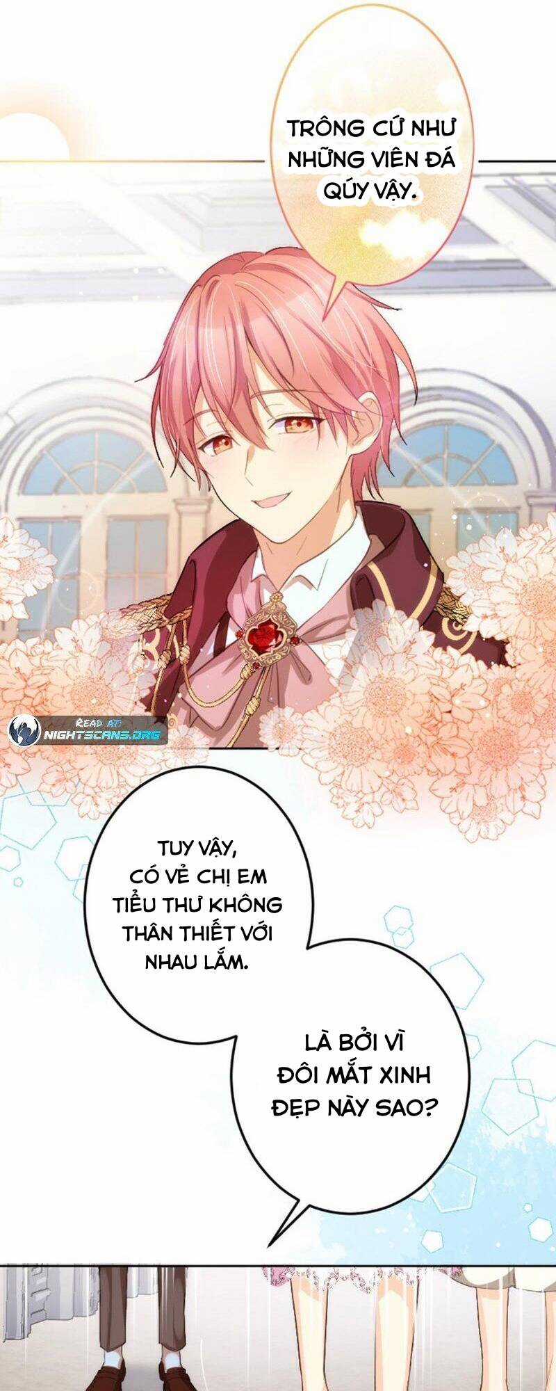 Quý Cô Không Rơi Nước Mắt Chapter 5 trang 26