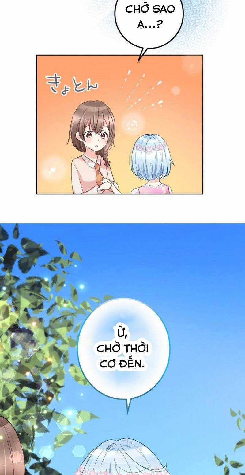 Quý Cô Không Rơi Nước Mắt Chapter 8 trang 11