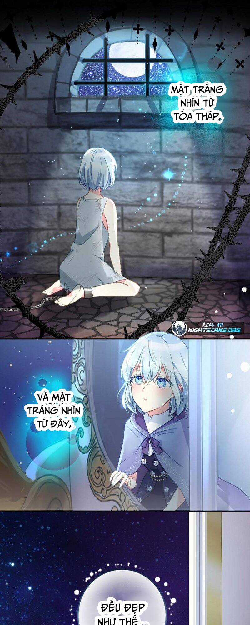 Quý Cô Không Rơi Nước Mắt Chapter 8 trang 49