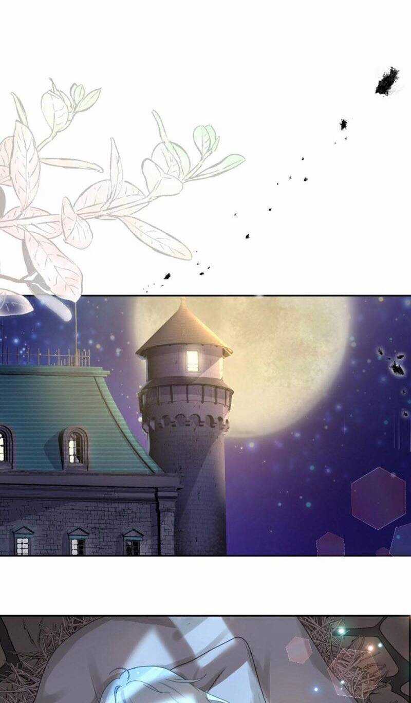 Quý Cô Không Rơi Nước Mắt Chapter 8 trang 68