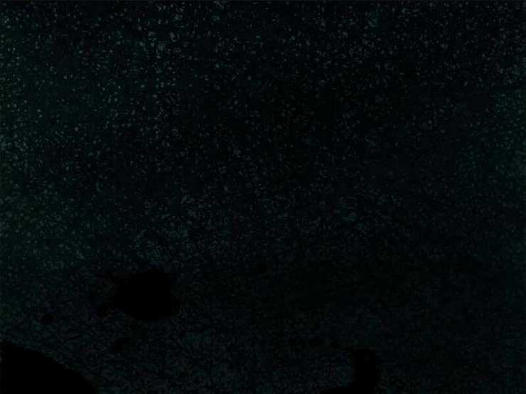 Quỷ Dị Khó Giết? Thật Xin Lỗi, Ta Mới Thật Sự Là Bất Tử Chapter 42 trang 31