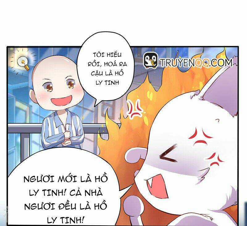 Quy Luật Năm Bản Mệnh Của Hồ Ly Chapter 1 trang 14