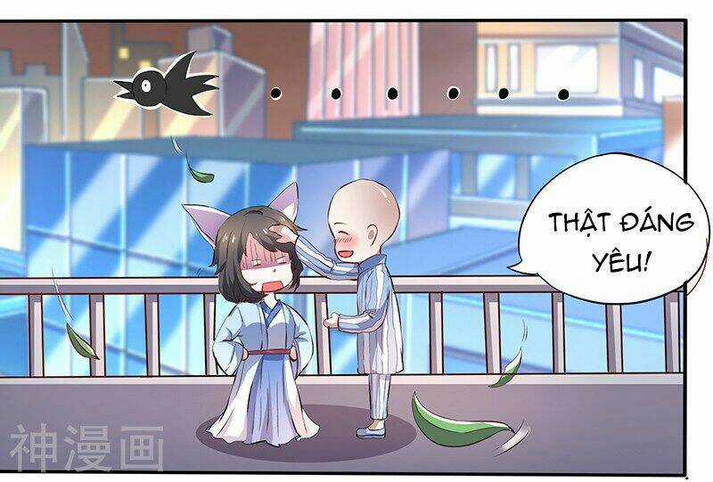 Quy Luật Năm Bản Mệnh Của Hồ Ly Chapter 1 trang 17