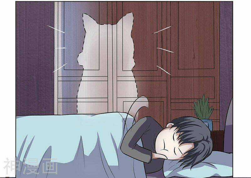 Quy Luật Năm Bản Mệnh Của Hồ Ly Chapter 11 trang 11