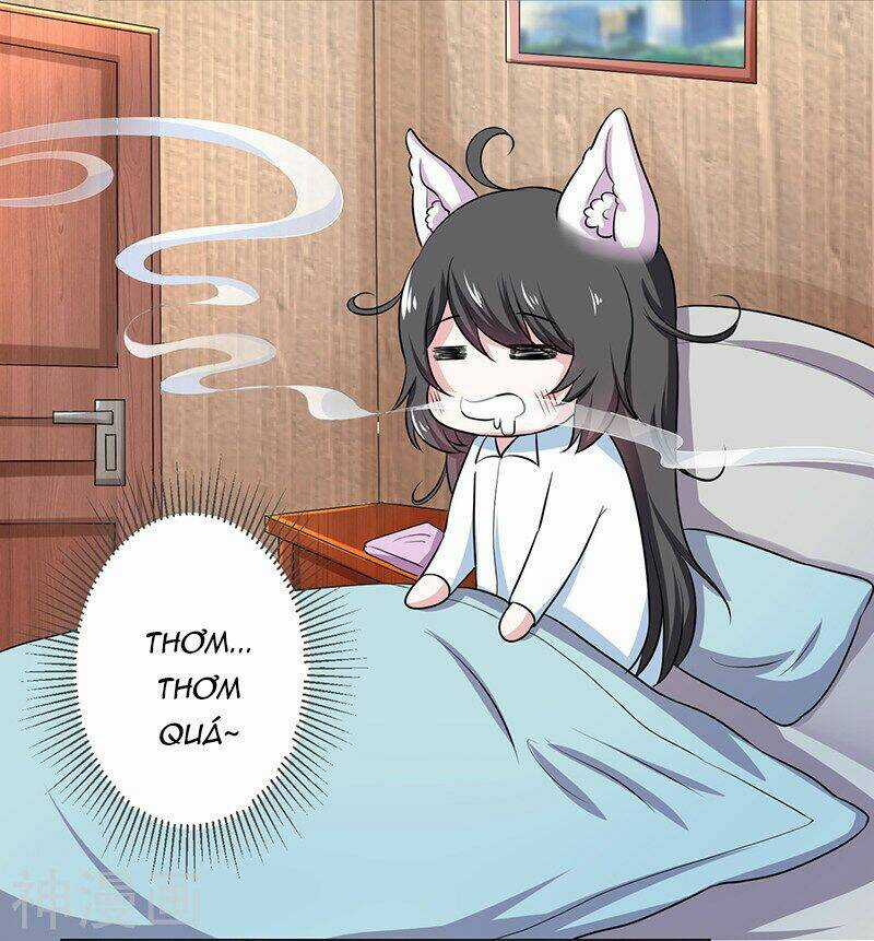 Quy Luật Năm Bản Mệnh Của Hồ Ly Chapter 11 trang 17