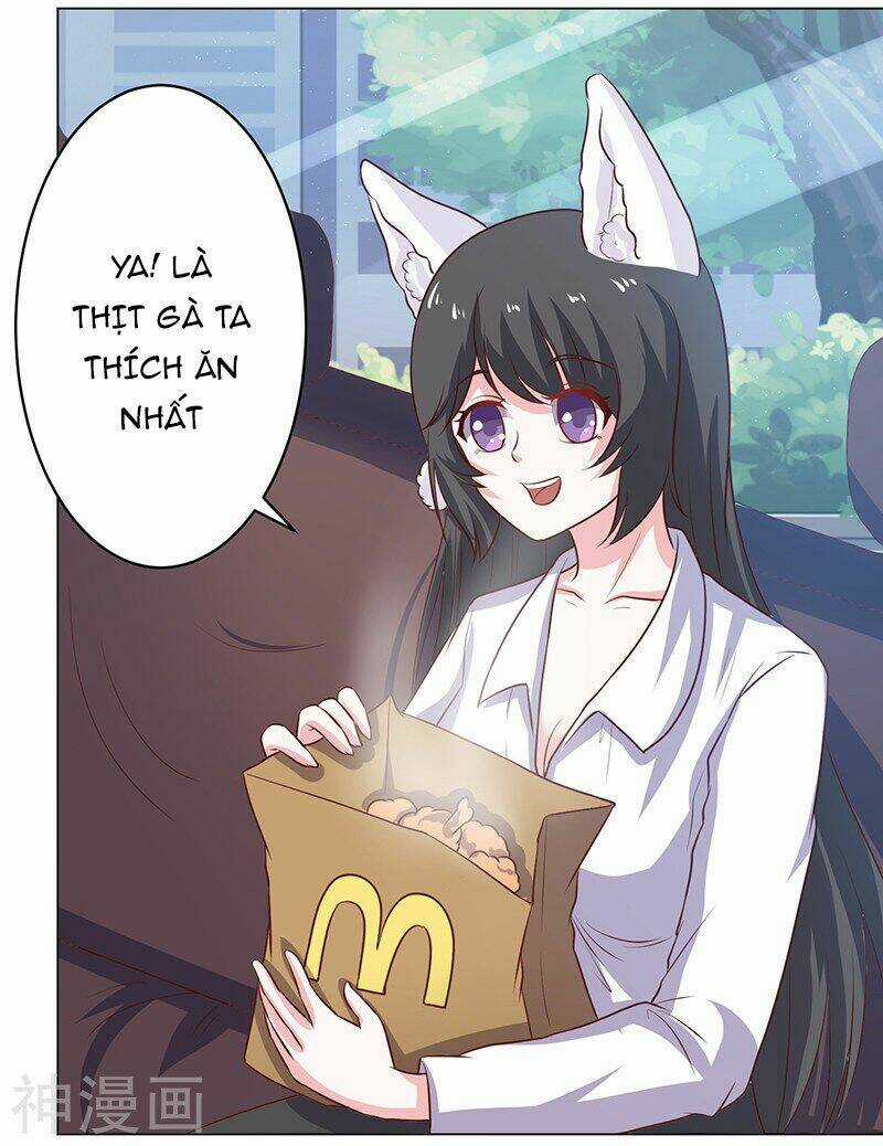 Quy Luật Năm Bản Mệnh Của Hồ Ly Chapter 11 trang 27