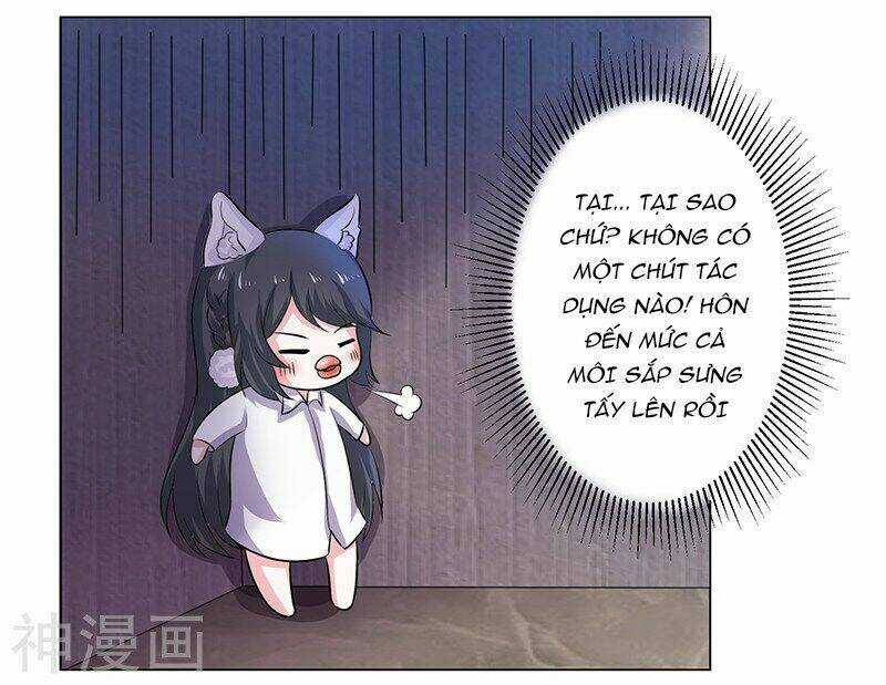 Quy Luật Năm Bản Mệnh Của Hồ Ly Chapter 11 trang 4