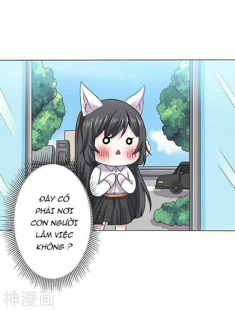 Quy Luật Năm Bản Mệnh Của Hồ Ly Chapter 12 trang 5