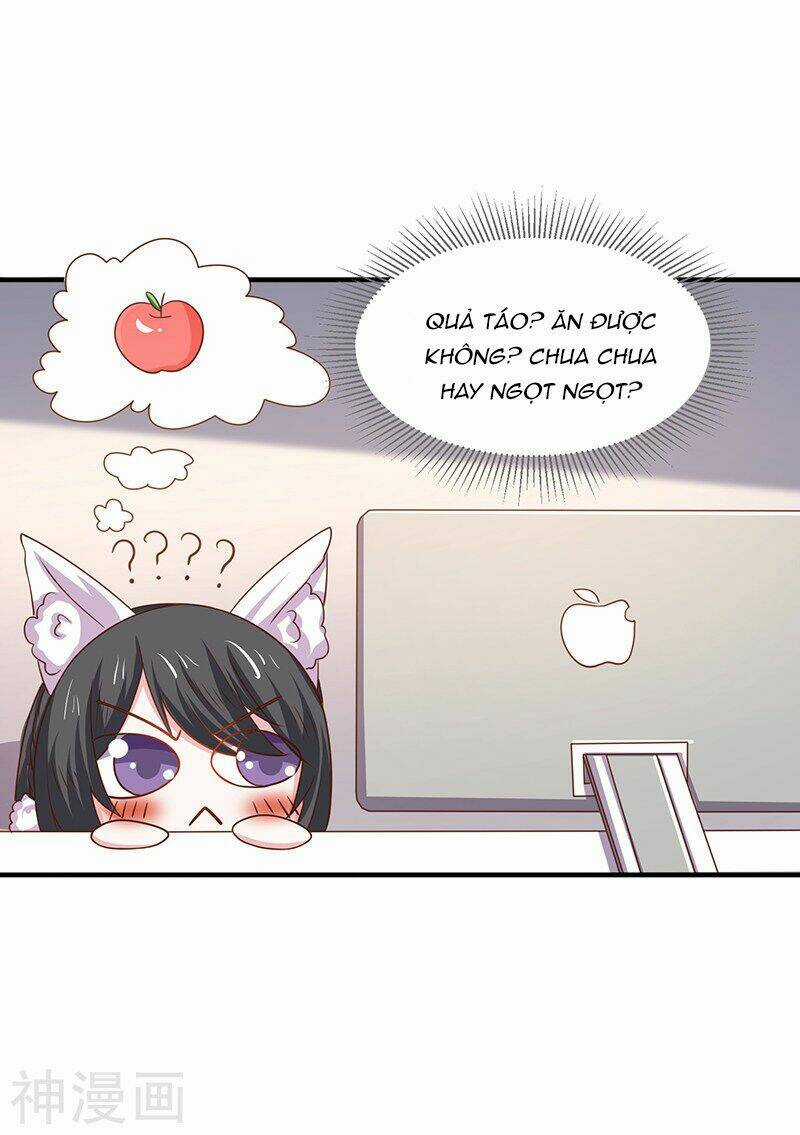 Quy Luật Năm Bản Mệnh Của Hồ Ly Chapter 13 trang 15