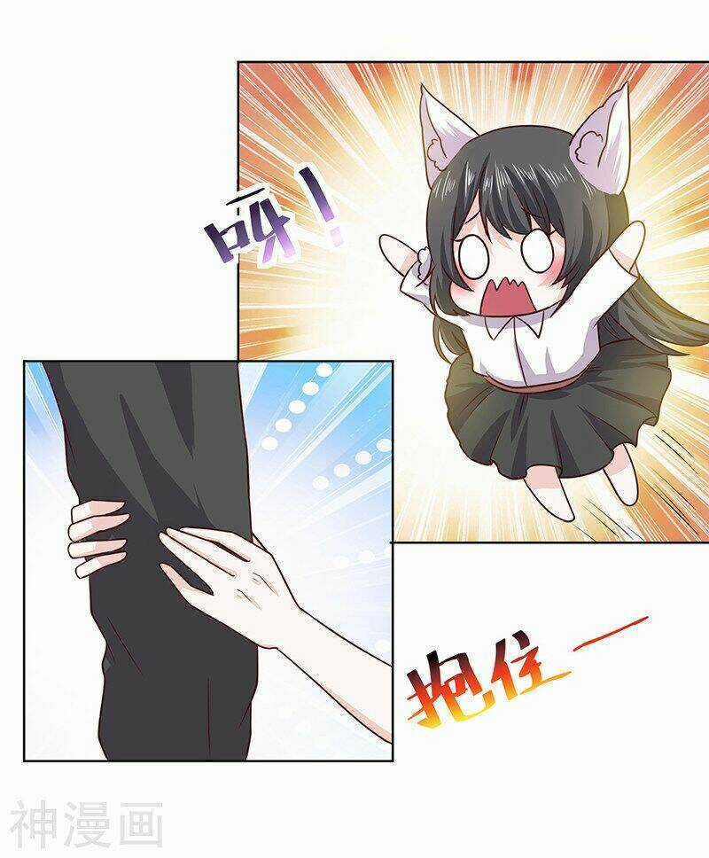 Quy Luật Năm Bản Mệnh Của Hồ Ly Chapter 14 trang 8