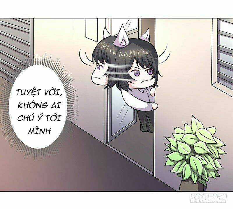 Quy Luật Năm Bản Mệnh Của Hồ Ly Chapter 16 trang 10