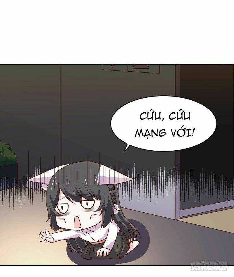 Quy Luật Năm Bản Mệnh Của Hồ Ly Chapter 17 trang 13