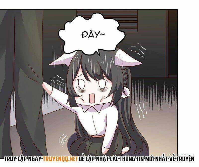 Quy Luật Năm Bản Mệnh Của Hồ Ly Chapter 17 trang 15