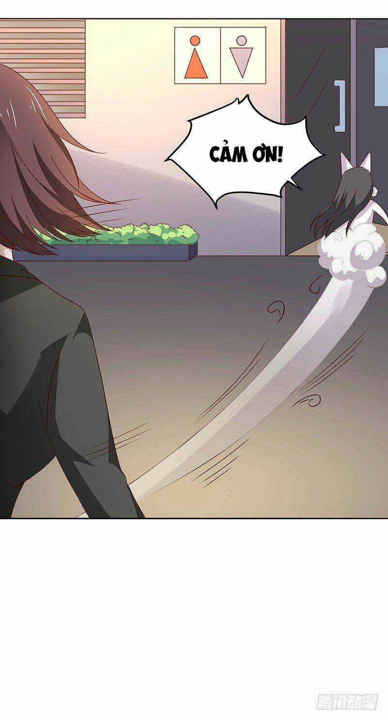 Quy Luật Năm Bản Mệnh Của Hồ Ly Chapter 17 trang 8