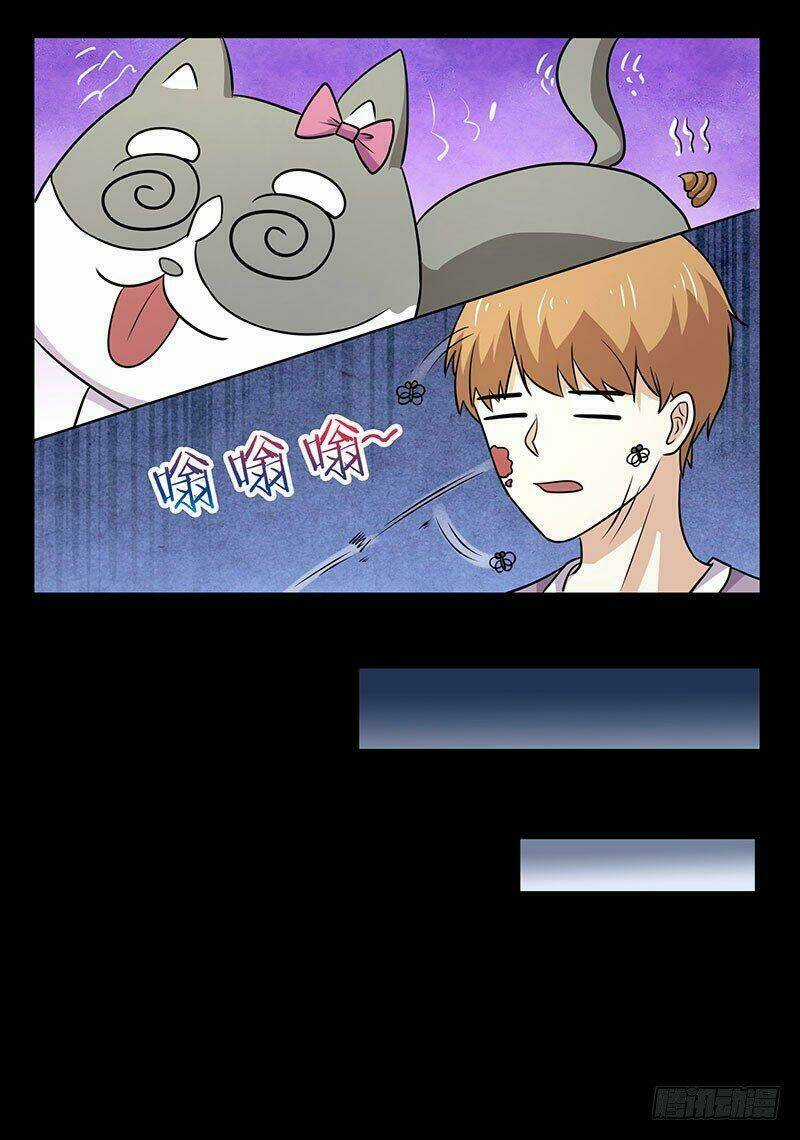 Quy Luật Năm Bản Mệnh Của Hồ Ly Chapter 18 trang 8