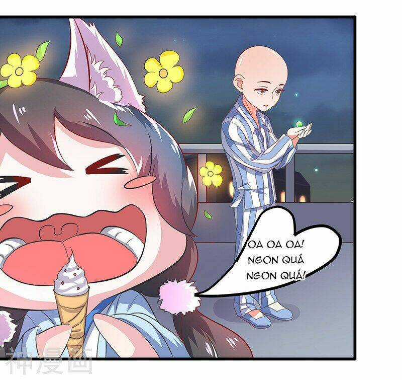 Quy Luật Năm Bản Mệnh Của Hồ Ly Chapter 2 trang 4