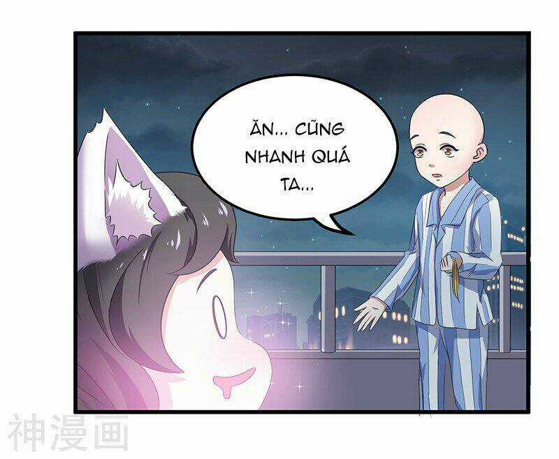 Quy Luật Năm Bản Mệnh Của Hồ Ly Chapter 2 trang 5