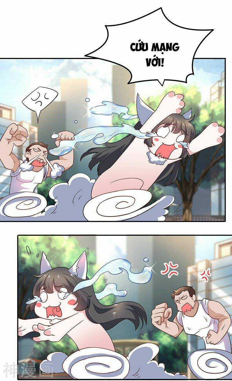 Quy Luật Năm Bản Mệnh Của Hồ Ly Chapter 3 trang 15