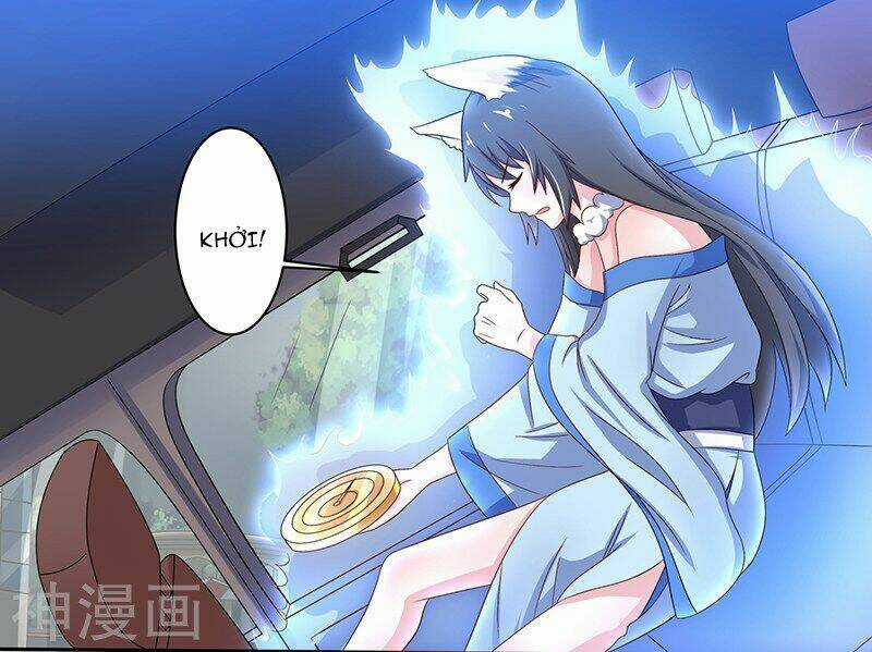 Quy Luật Năm Bản Mệnh Của Hồ Ly Chapter 5 trang 14