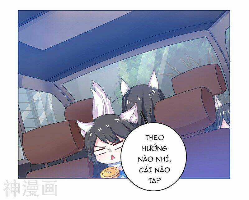 Quy Luật Năm Bản Mệnh Của Hồ Ly Chapter 5 trang 16